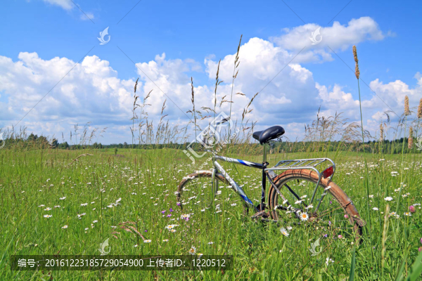 綠色中的舊自行車(chē)
