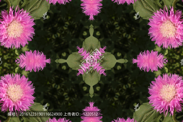 背景花卉
