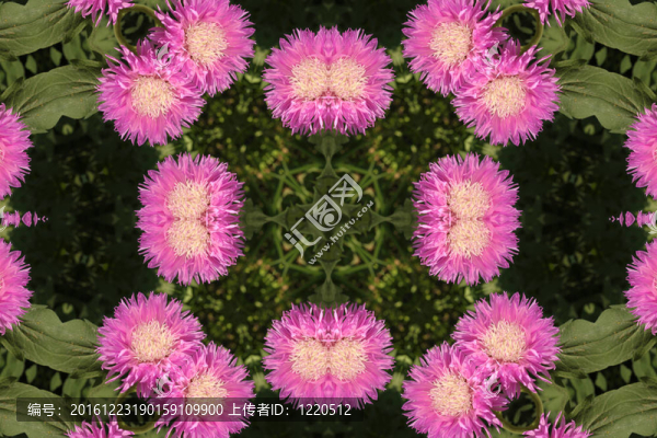 背景花卉
