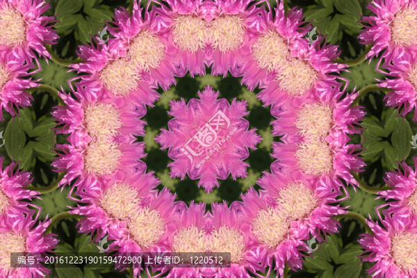 背景花卉