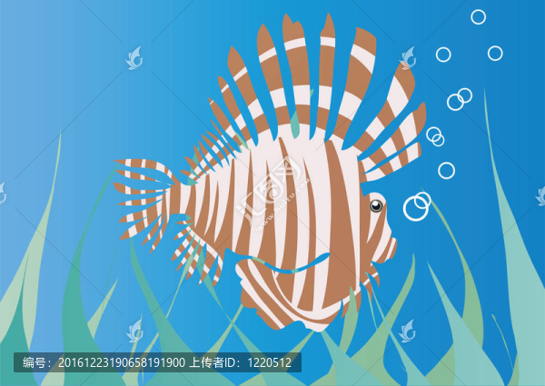 海刺猬