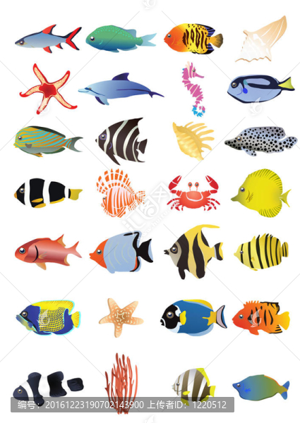 海洋動物