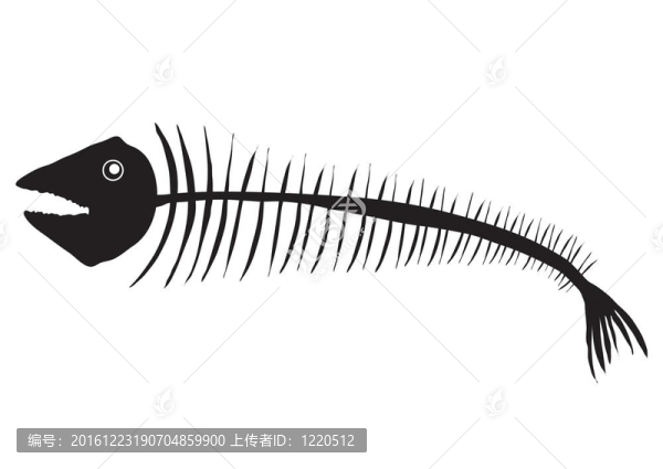 死魚