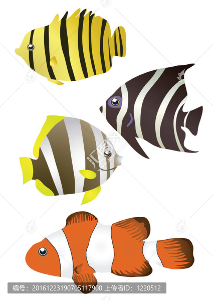 條紋的熱帶魚