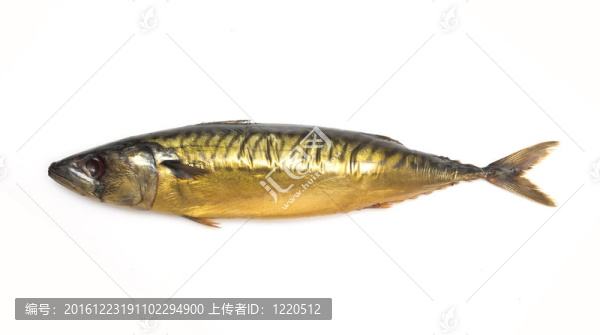 煙熏鯖魚