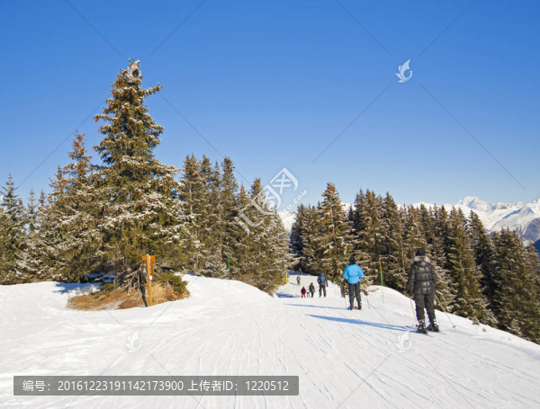 通過(guò)樹(shù)上軌道的滑雪者
