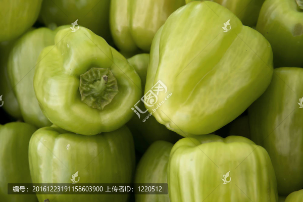 青椒
