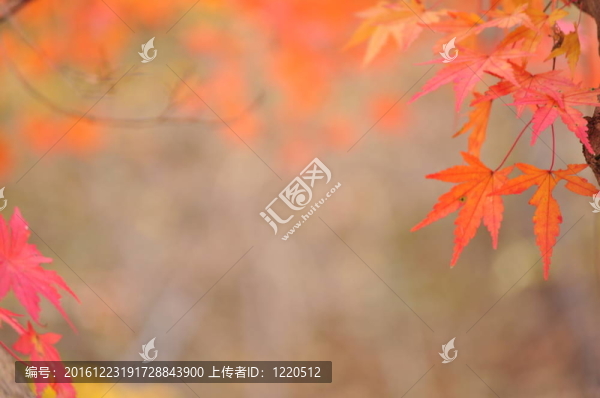 秋天
