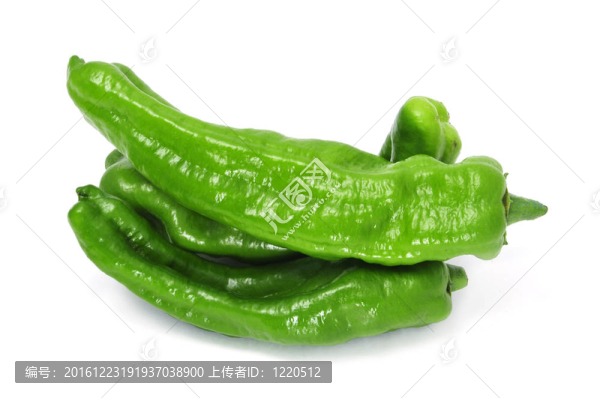 青椒