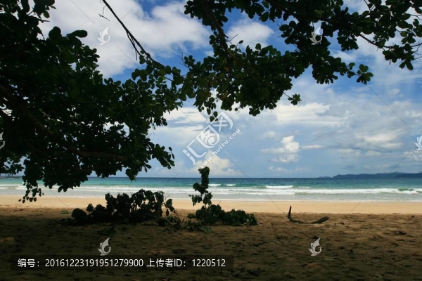 海洋觀