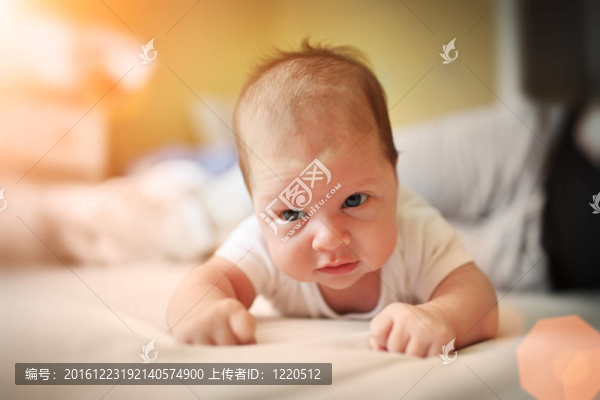 寶貝