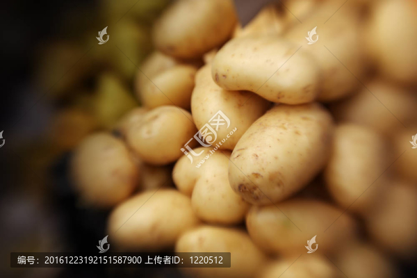 土豆