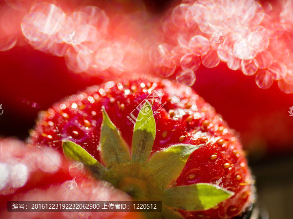 紅色的草莓