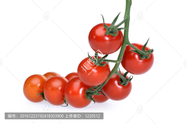 多汁的西紅柿