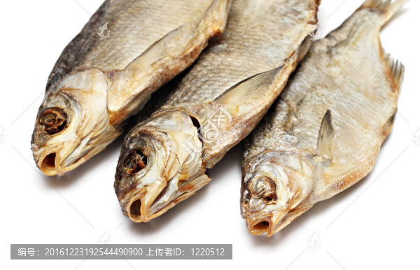 干魚