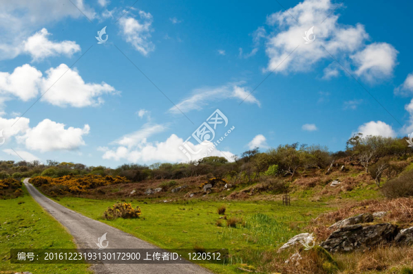 艾萊島的路