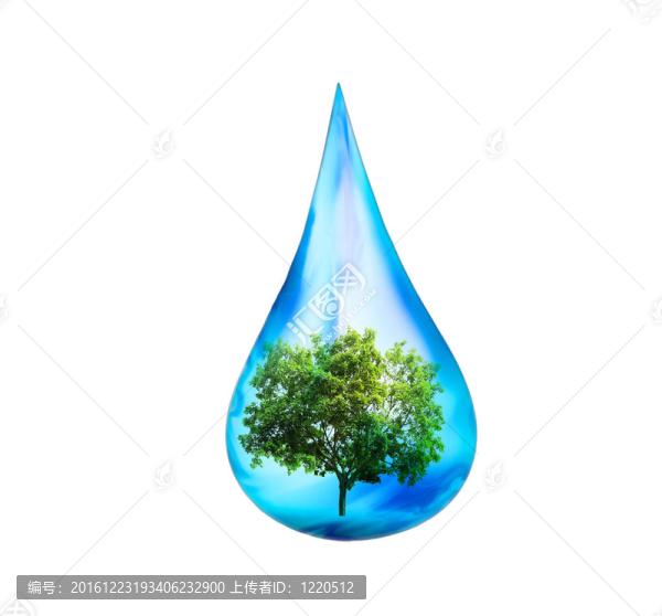 水滴與綠樹