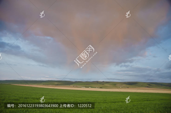 麥田上空的晚霞