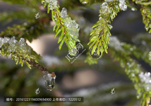 三滴