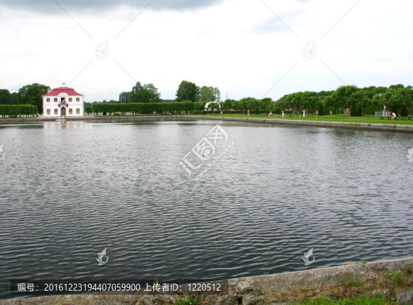 城市公園；池塘和樹木。