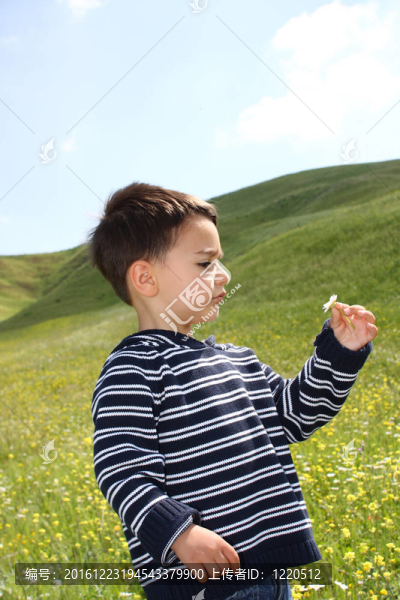 抱著雛菊的男小孩