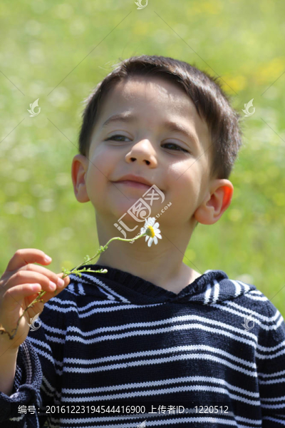 男孩smailing小雛菊