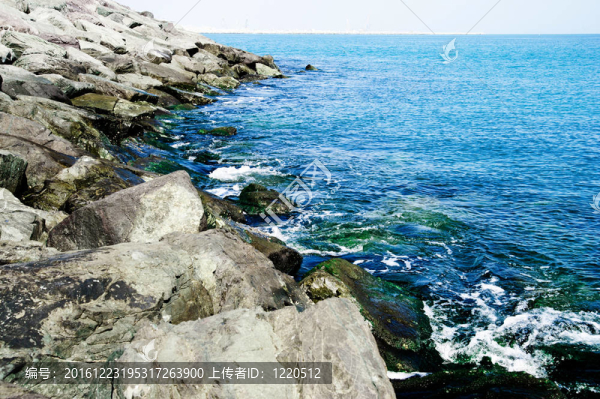 海灘和大海