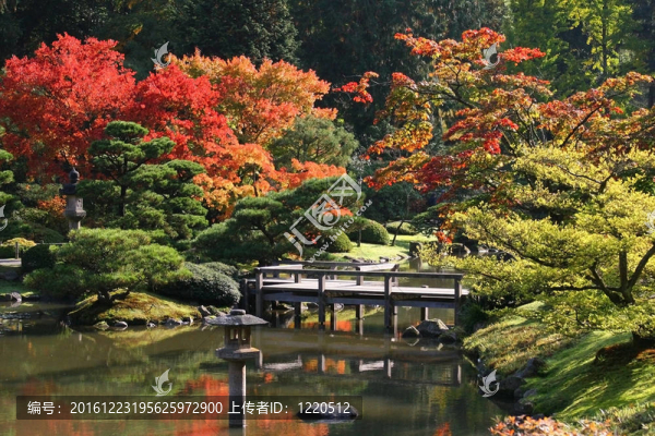 植物園1
