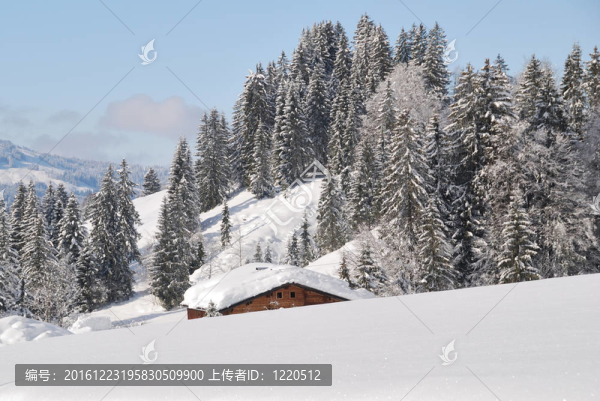 奧地利冬季景觀中的白雪覆蓋的房子