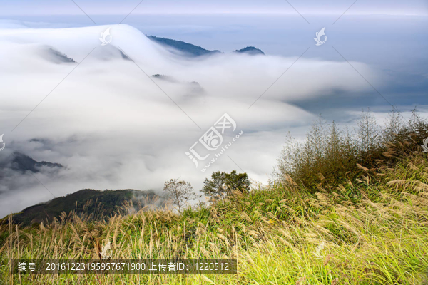 山；在早晨的云霧