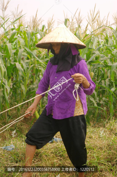 Kinh民族的祖母