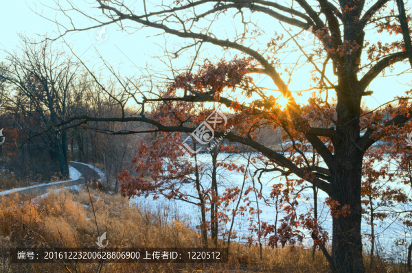 湯普森縣公園湖步道