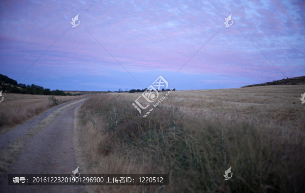 鄉(xiāng)村景色日出
