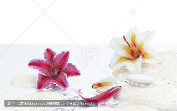 溫泉沙龍附近的花草石和肥皂