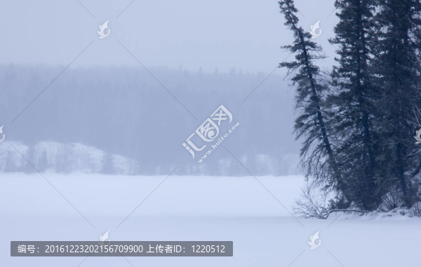 waskesui加拿大湖的冬天