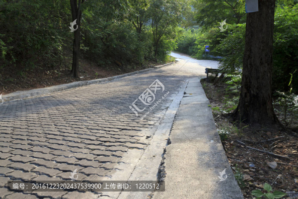 路