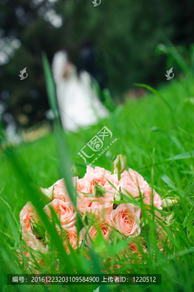 婚禮花束的玫瑰躺在草在迷戀對(duì)