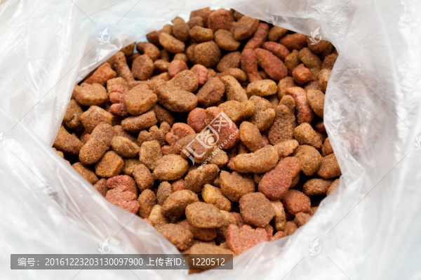 包里的寵物食品