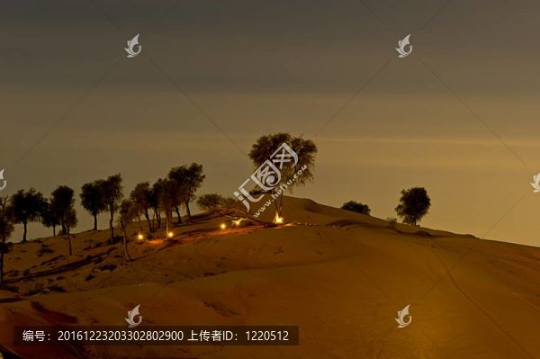 沙漠營地
