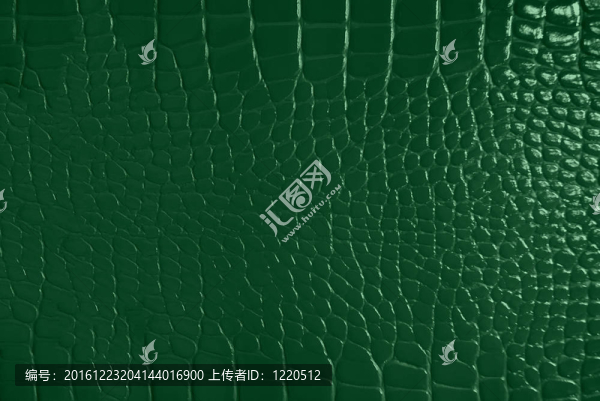 綠色皮膚的紋理
