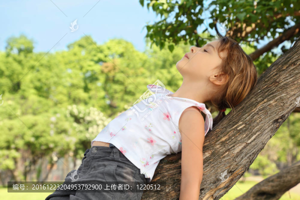 小女孩躺在樹的莖