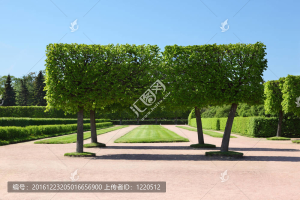 夏宮的景觀公園；圣彼得堡；俄羅斯