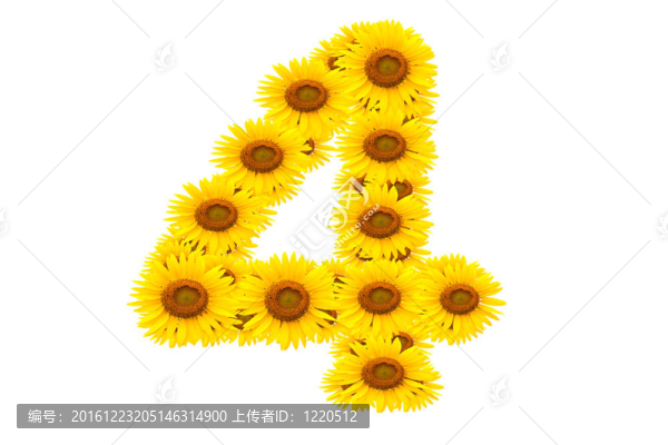 向日葵4號