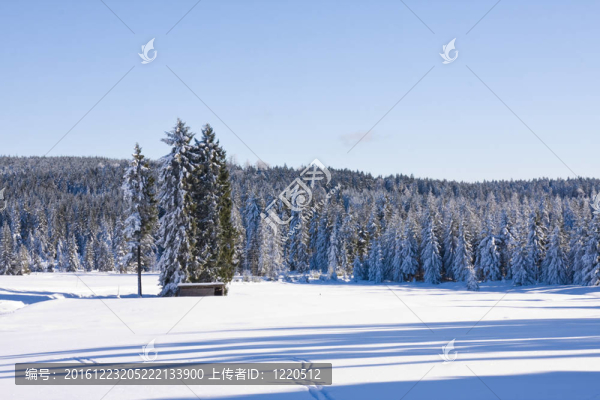 山上的雪