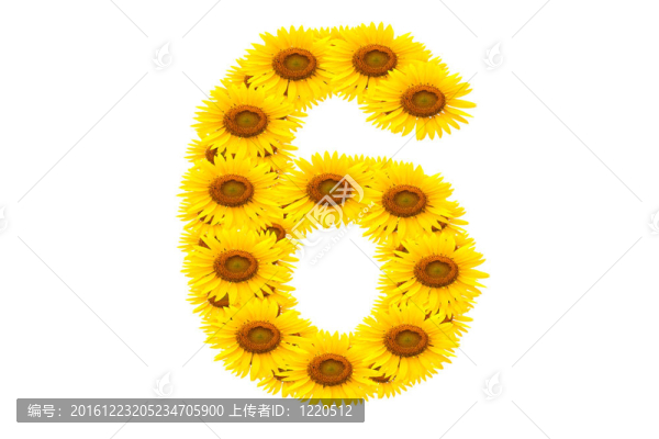 向日葵6號