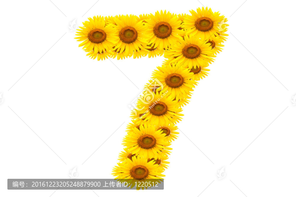 向日葵7號(hào)