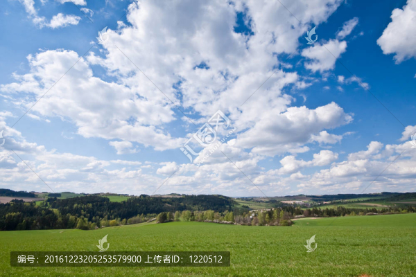 綠色的田野