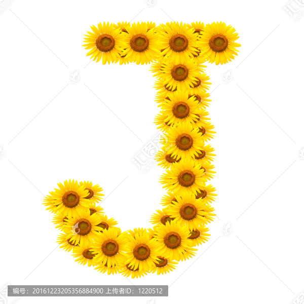向日葵；字母表