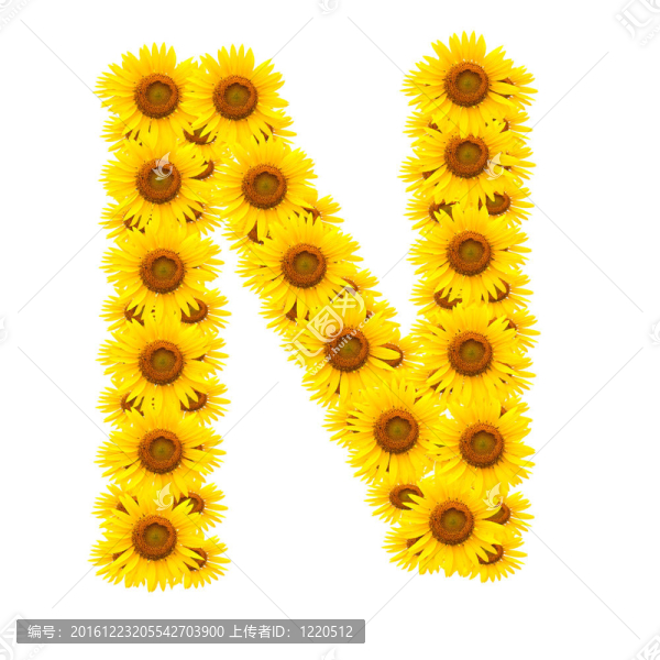 向日葵；字母