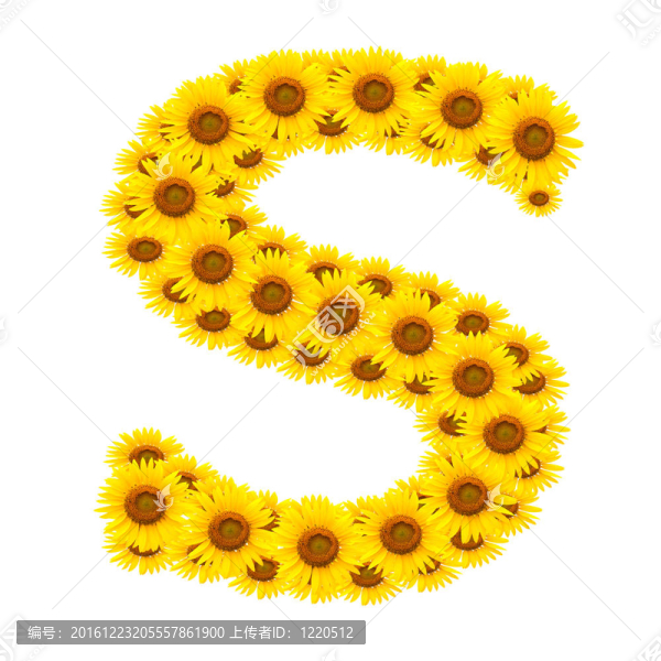 向日葵；字母表